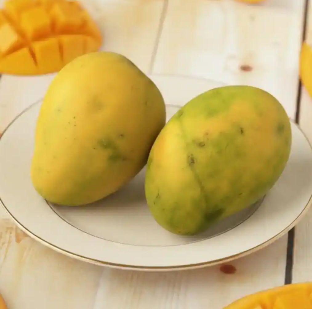 Mango Safeda Super