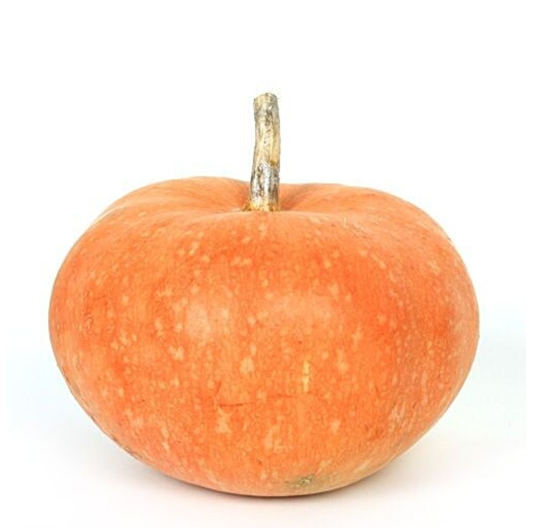 Pumpkin